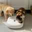 All For Paws Lifestyle Comedouro Automático Branco para cães e gatos, , large Indicador imagem número 1