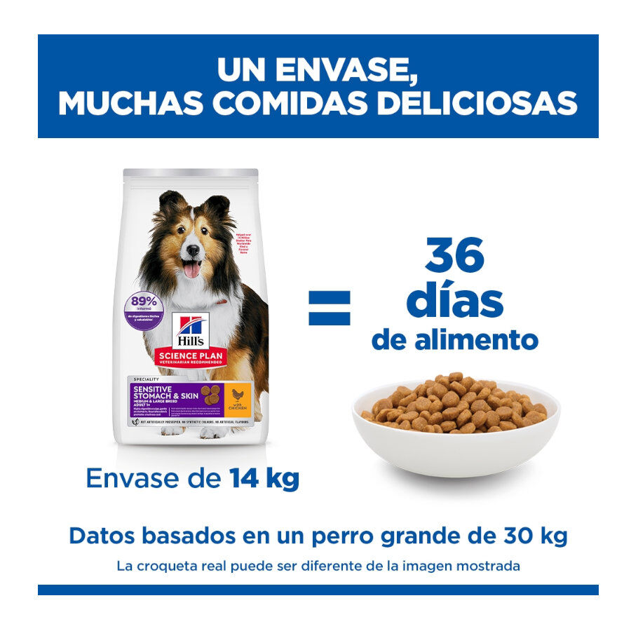 14 kg Hill's Science Plan Sensitive Stomach y Skin Adult Frango ra&ccedil;&atilde;o para c&atilde;es, , large Imagem n&uacute;mero 6