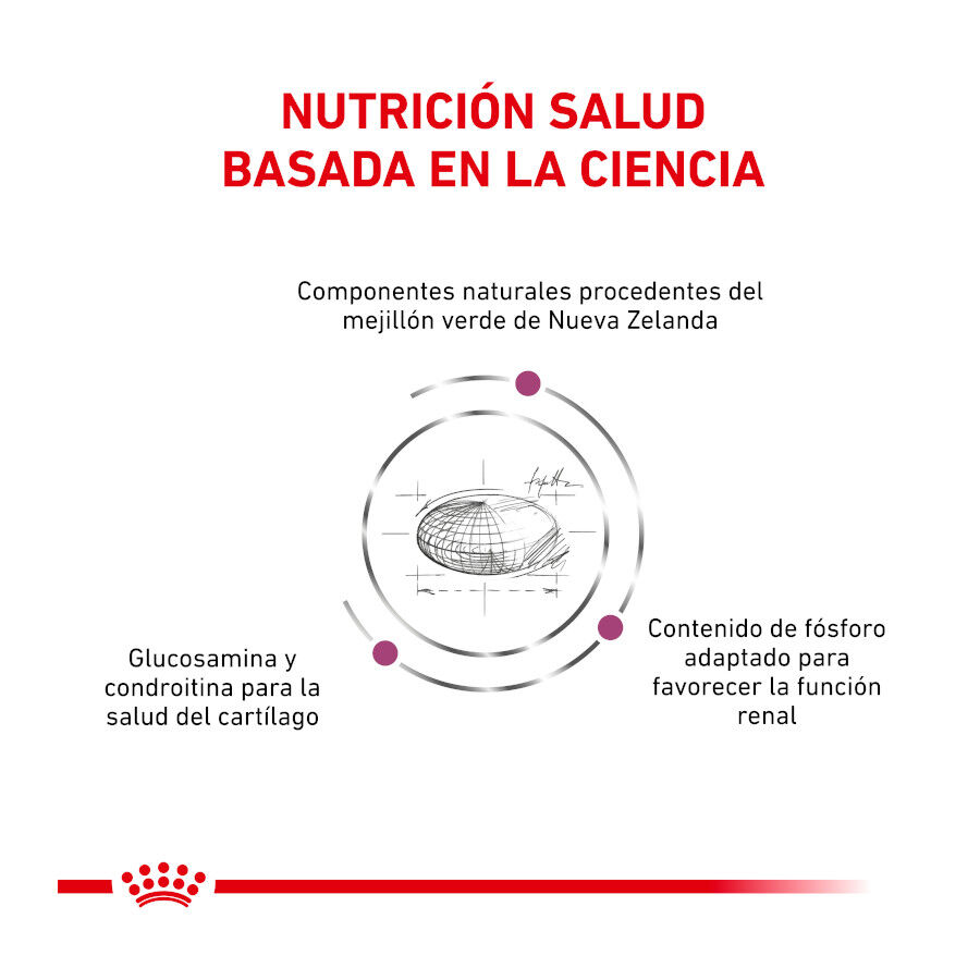 2 kg Royal Canin Veterinary Mobility ra&ccedil;&atilde;o para gatos, , large Imagem n&uacute;mero 3