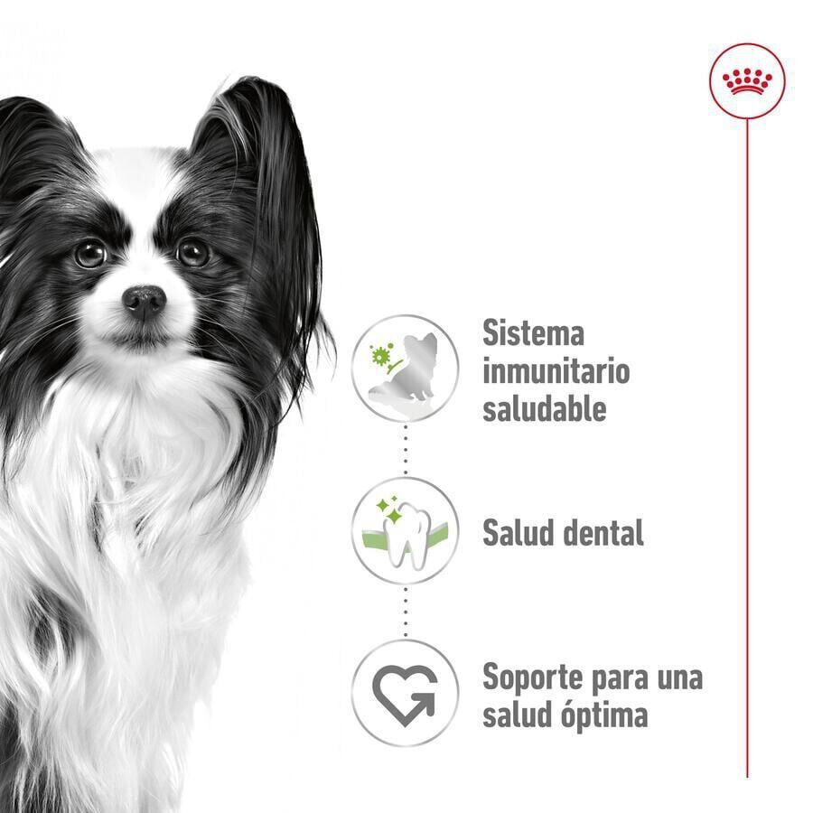 3 kg Royal Canin X-Small Adult ra&ccedil;&atilde;o para c&atilde;es, , large Imagem n&uacute;mero 5