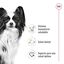 3 kg Royal Canin X-Small Adult ração para cães, , large Indicador imagem número 5
