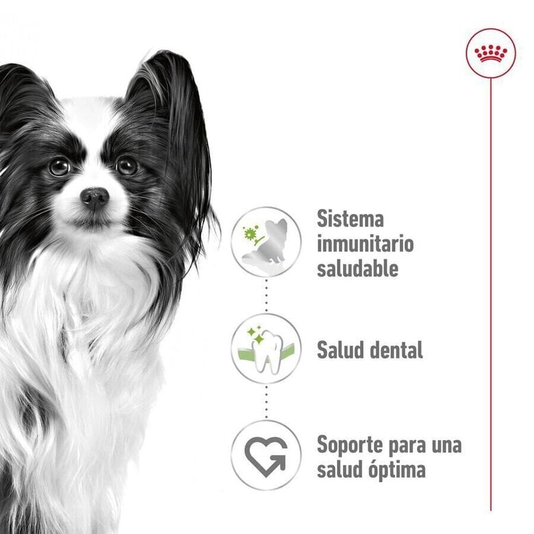 3 kg Royal Canin X-Small Adult ração para cães,  Imagem número 5 3 kg Royal Canin X-Small Adult ração para cães, , large Imagem número 5