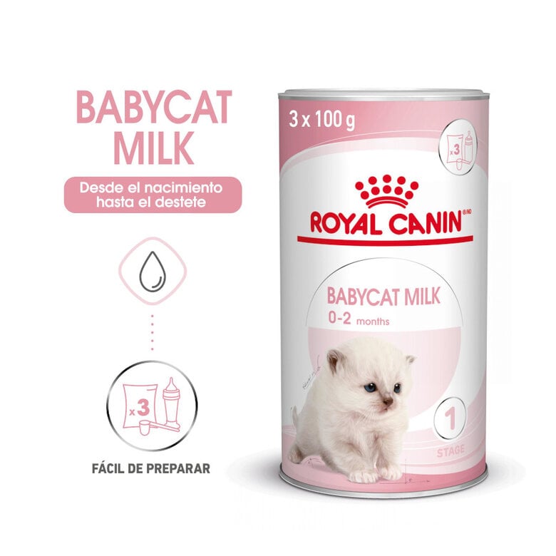 300 g Royal Canin Leite para gatinhos primeiro ano,  Imagem número 3 300 g Royal Canin Leite para gatinhos primeiro ano, , large Imagem número 3