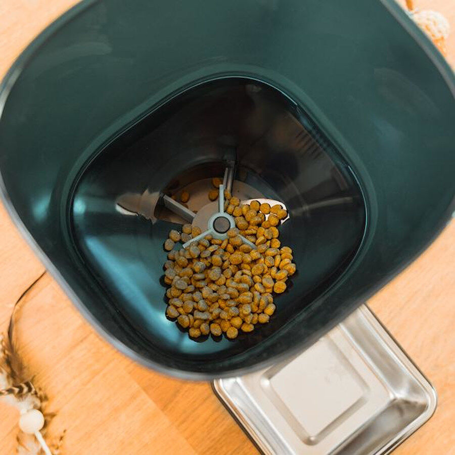 Cecotec Pumba 6000 Purrfect Meal Comedouro autom&aacute;tico inteligente para c&atilde;es e gatos, , large Imagem n&uacute;mero 11