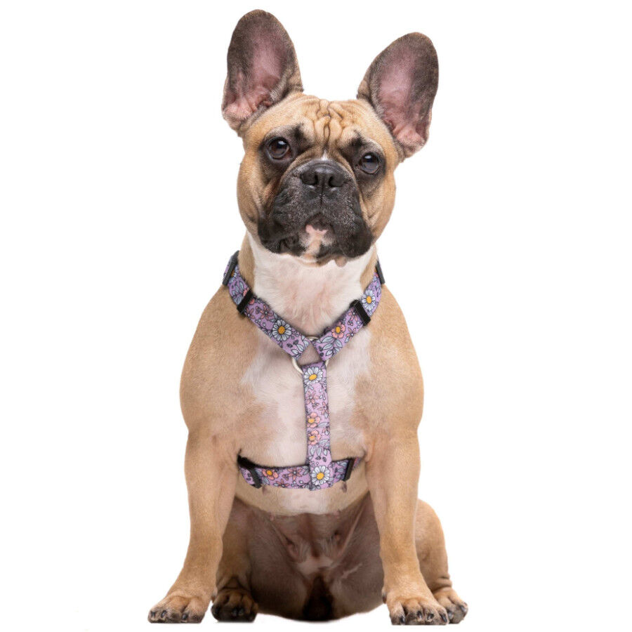 Dukier Flower Power Peitoral Cl&aacute;ssico para c&atilde;es, , large Imagem n&uacute;mero 3