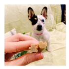 Whimzees Snacks Dentários Naturais para cachorros , , large image number null