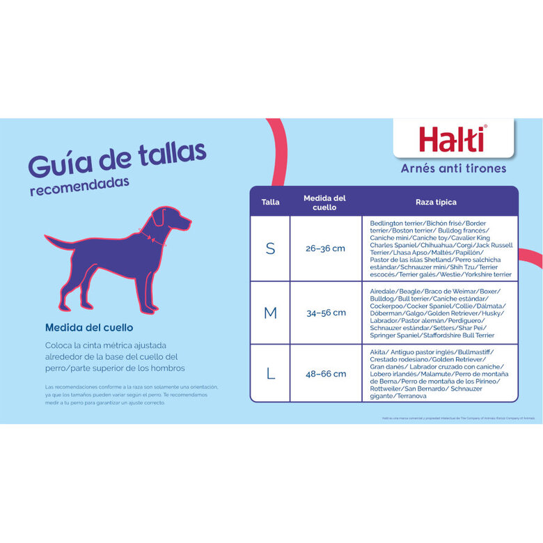 Halti Peitoral Anti-puxão Pequeno para Cães,  Imagem número 6 Halti Peitoral Anti-puxão Pequeno para Cães, , large Imagem número 6