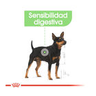 Royal Canin Digestive Care Patê saquetas para cães, , large image number null