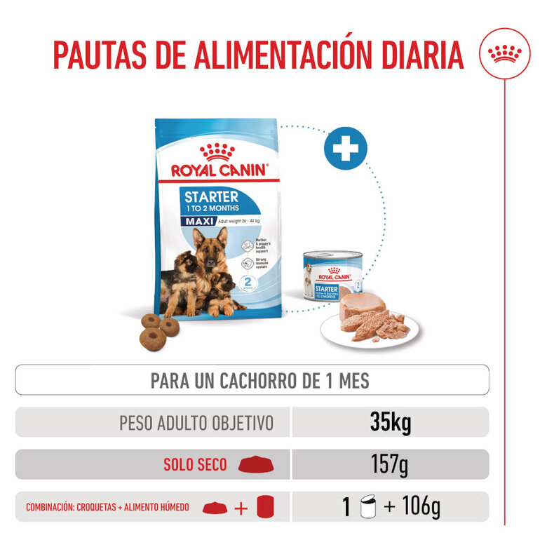 Royal Canin Starter Maxi MothereBaby ração para cães,  Imagem número 6 Royal Canin Starter Maxi MothereBaby ração para cães, , large Imagem número 6