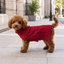 Gotoo Camisola de Malha Vermelha para c&atilde;es, , large Indicador imagem n&uacute;mero 1