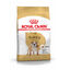 12 kg Royal Canin Adult Bulldog ração para cães de raça, , large Indicador imagem número 1