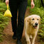 Nice Care Basic Bolsitas Lavanda Limón para perros, , large Indicador imagem número 4