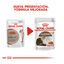85 g Royal Canin Ageing 12+ alimento húmido com molho em saquetas para gatos, , large Indicador imagem número 3