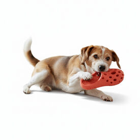 All For Paws Pantufas Air Pups Brinquedo para c&atilde;es