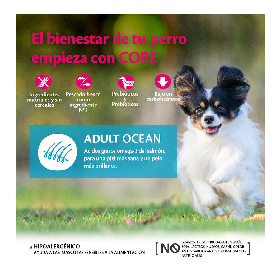 5 kg Wellness Core Adult Small Ocean Salm&atilde;o e Atum ra&ccedil;&atilde;o para c&atilde;es , , large Imagem n&uacute;mero 2