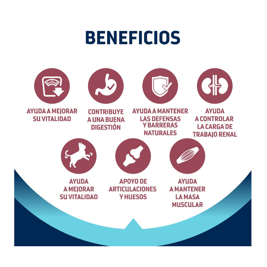 1.5 kg Advance Active Defense Sterilized +10 frango e cevada ra&ccedil;&atilde;o para gatos, , large Imagem n&uacute;mero 4