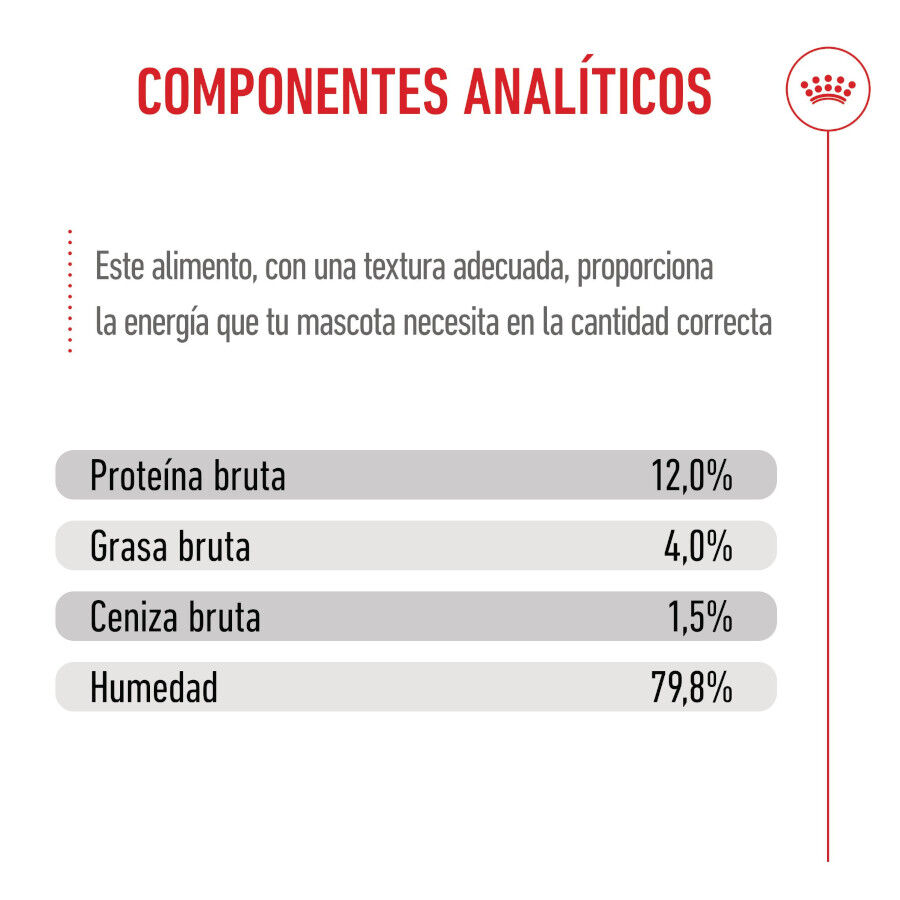 85 g Royal Canin Kitten alimento h&uacute;mido em gelatina saquetas para gatinhos, , large Imagem n&uacute;mero 8