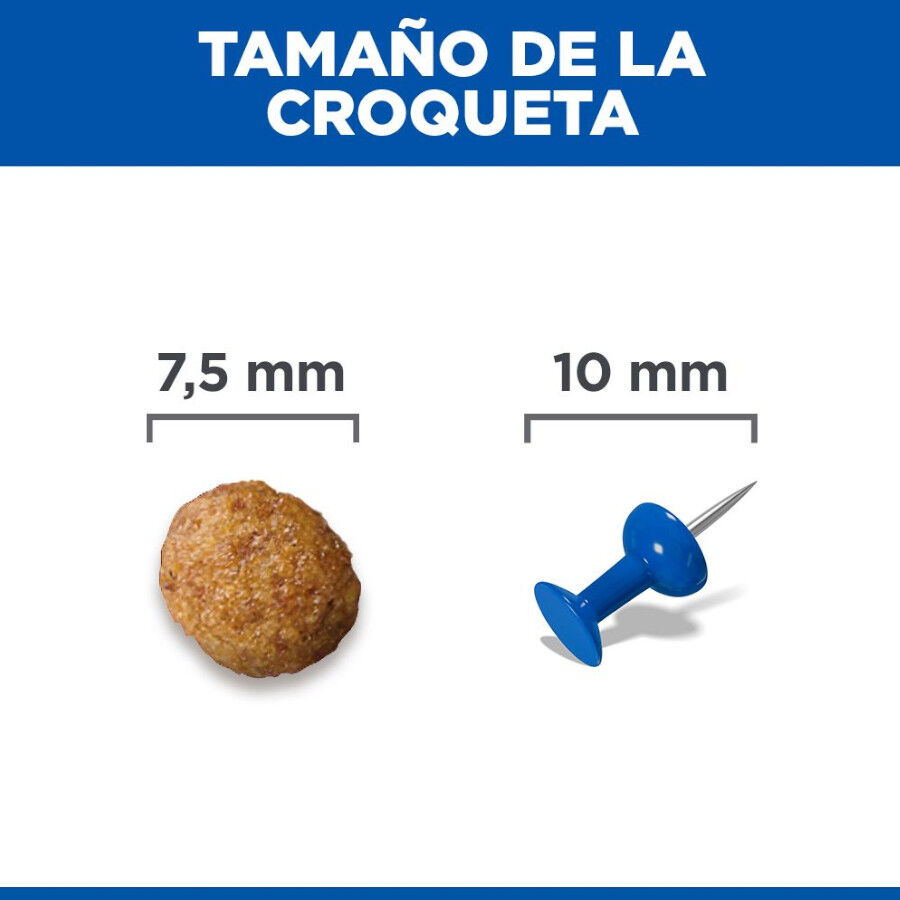 10 kg Hill's Science Plan Small Y Mini Adult Frango ra&ccedil;&atilde;o para c&atilde;es, , large Imagem n&uacute;mero 9