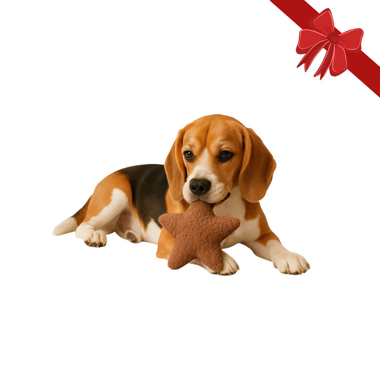 Wonder Christmas Peluche Estrela de Natal para Cães,  Imagem número 1 Wonder Christmas Peluche Estrela de Natal para Cães, , large Imagem número 1