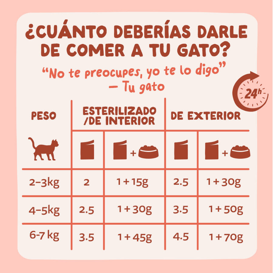 85 g Edgard & Cooper Trucha y Pollo sobre en salsa para gatos, , large Imagem n&uacute;mero 7