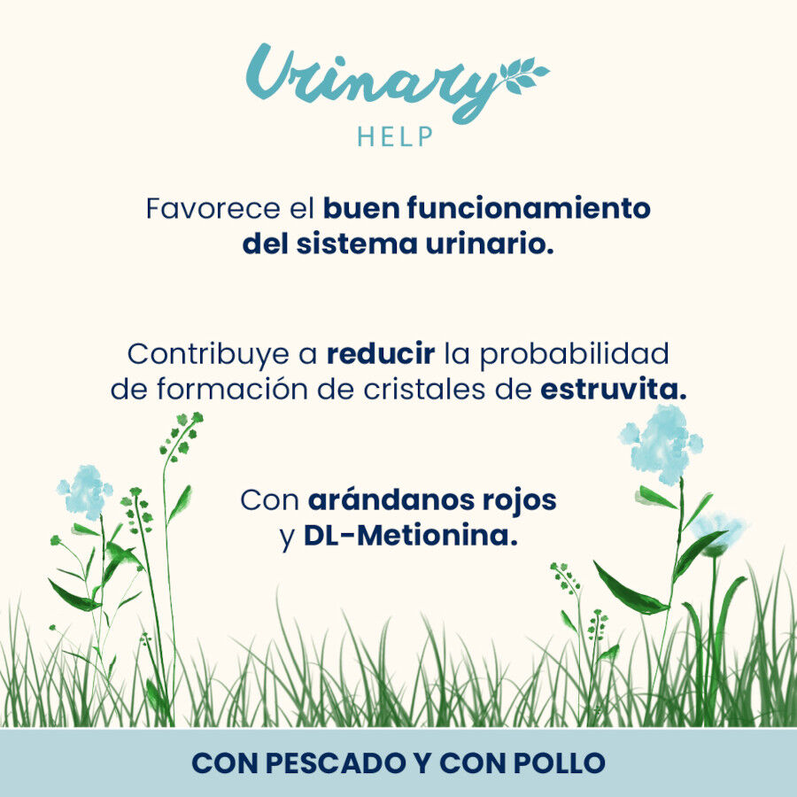 6 saquetas x 70 g Almo Nature Urinary Help Peixe e Frango saquetas para gatos &ndash; Multipack, , large Imagem n&uacute;mero 2