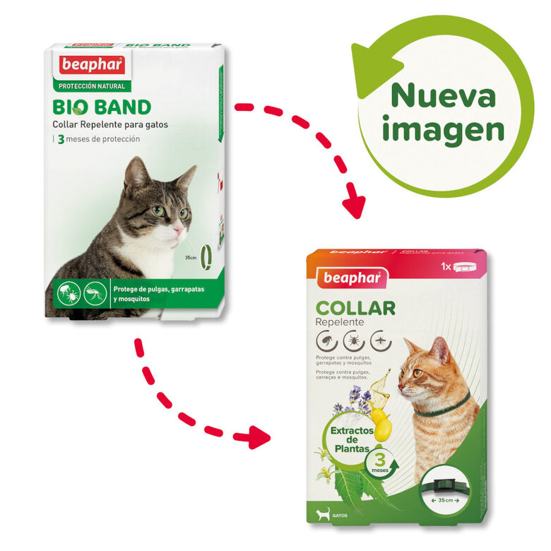 Beaphar Bio Band coleira repelente para gatos, , large image number null