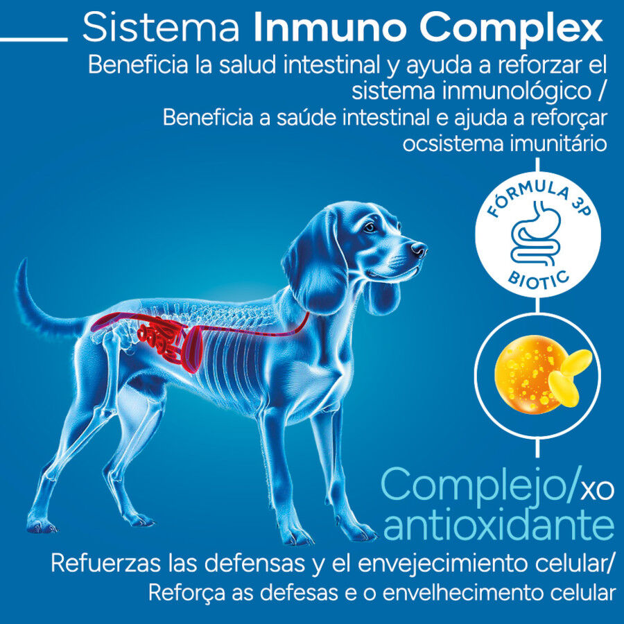 Criadores Cient&iacute;fico Adulto Medium Ra&ccedil;&atilde;o de frango para c&atilde;es, , large Imagem n&uacute;mero 3