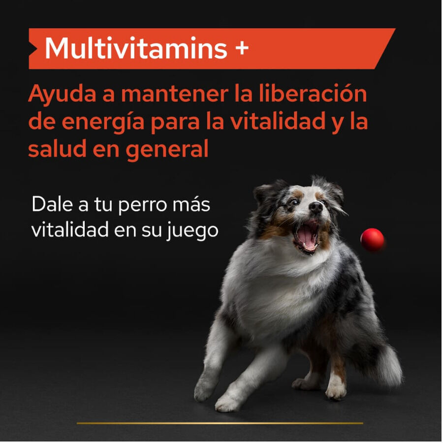 67 g Pro Plan Multivitamin Suplemento para c&atilde;es, , large Imagem n&uacute;mero 3