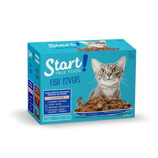 Start Cat Peixe saqueta com gelatina para gatos - Multipack