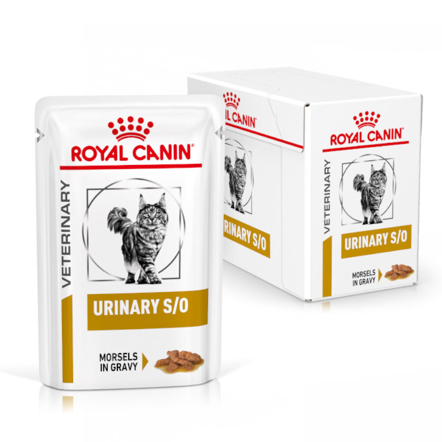 12 saquetas x 85 g Pack 12 Saquetas Royal Canin Veterinary Diet Feline Urinary S/O 85 g, , large Imagem n&uacute;mero 2
