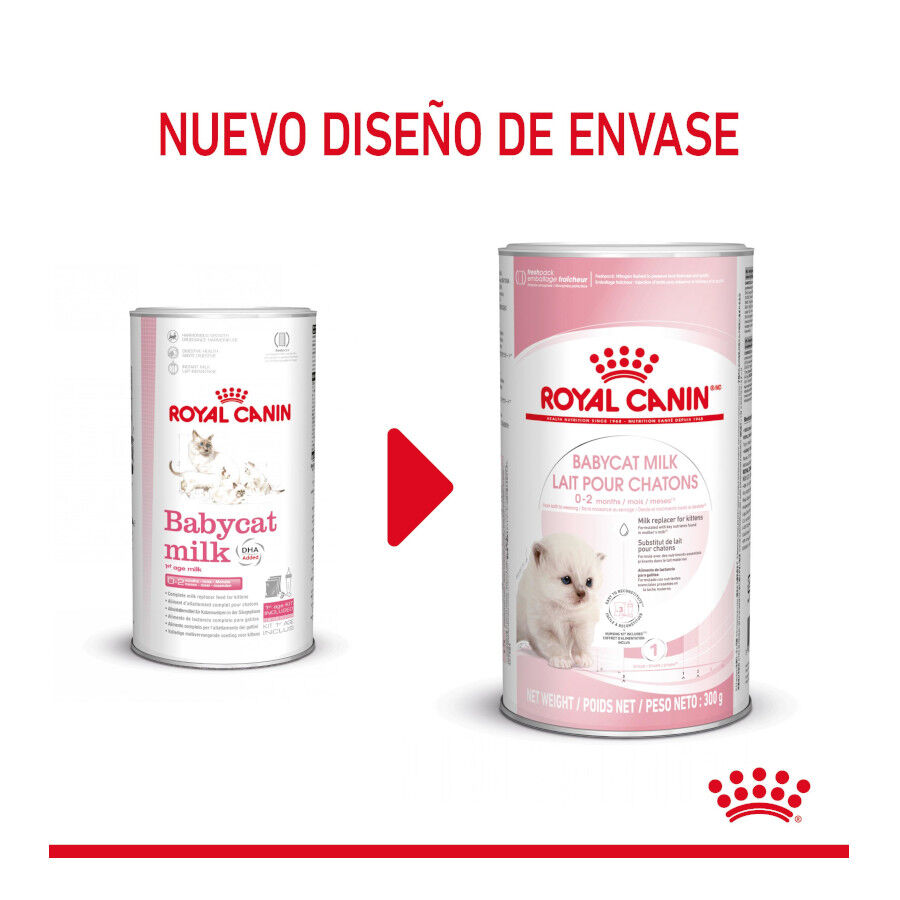 300 g Royal Canin Leite para gatinhos primeiro ano, , large Imagem n&uacute;mero 2