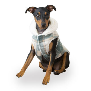 Outech Casaco Xadrez para cães