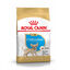 Royal Canin Puppy Chihuahua ração para cães , , large Indicador imagem número 1