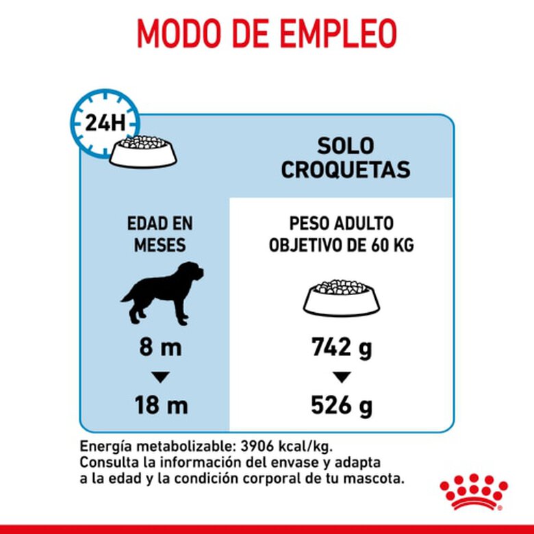 Royal Canin Junior Giant ração para cães, , large image number null