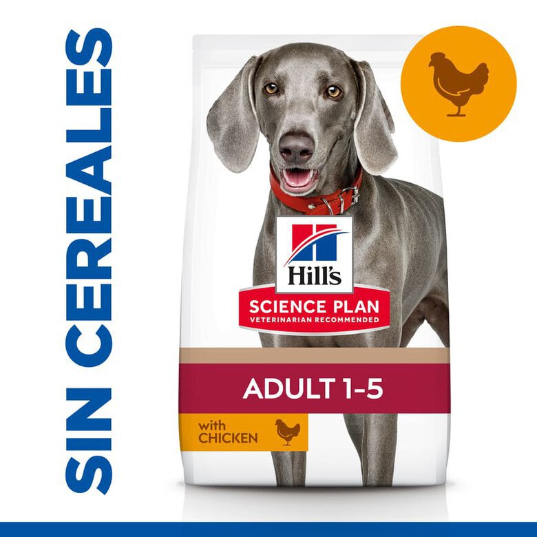 14 kg Hill's Large Adult Science Plan Frango ração para cães,  Imagem número 1 14 kg Hill's Large Adult Science Plan Frango ração para cães, , large Imagem número 1
