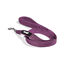 Gloria Air Mesh Trek Star Trela Roxa para cães, , large Indicador imagem número 5
