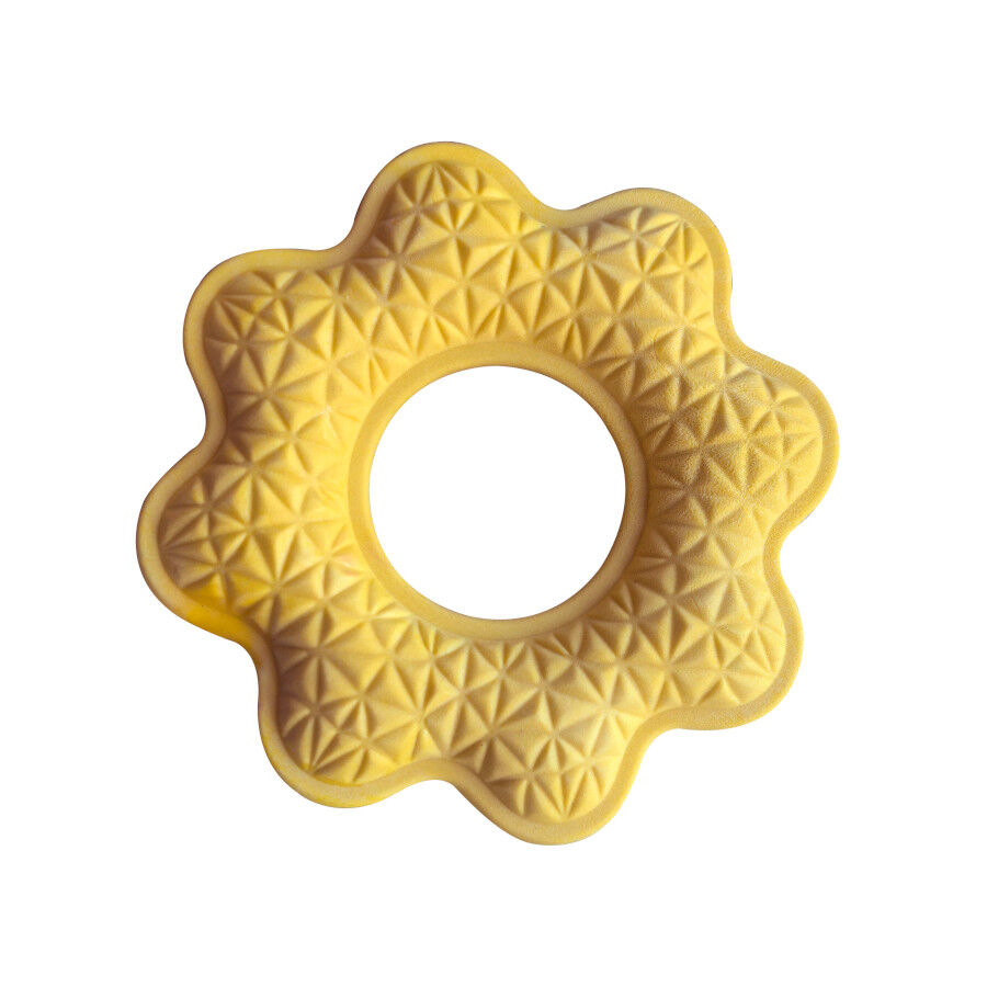 Summer Vibes Floating Flower Brinquedo de mastigar para c&atilde;es, , large Imagem n&uacute;mero 1