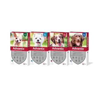 Bayer Advantix Pipetas Antiparasitárias para cães