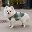 Gotoo Casaco Tartan com Capuz para c&atilde;es, , large Indicador imagem n&uacute;mero 1