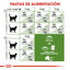 10 kg Royal Canin Active Life Outdoor pienso para gatos, , large Indicador imagem número 6