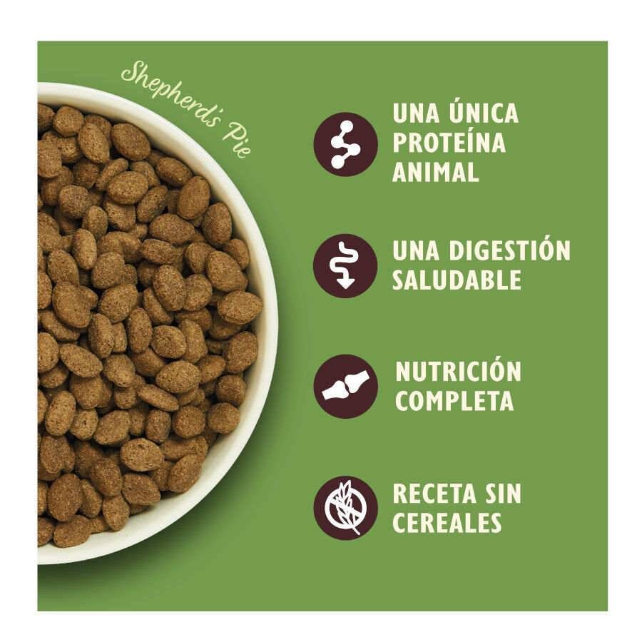 12 kg Lily's Kitchen Adult Cordeiro ra&ccedil;&atilde;o para c&atilde;es, , large Imagem n&uacute;mero 3