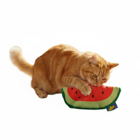 BAM! Peluche Melancia com catnip para gatos