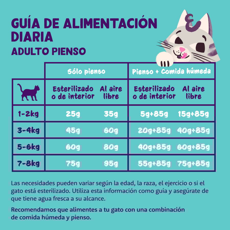 2 kg Edgard & Cooper Adult Ra&ccedil;&atilde;o de peru e frango para gatos , , large Imagem n&uacute;mero 5