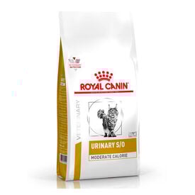 Royal Canin Veterinary Urinary Moderate Calorie ração para gatos 