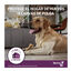 Vectra 3D Pipetas Antiparasitárias para cães, , large Indicador imagem número 12