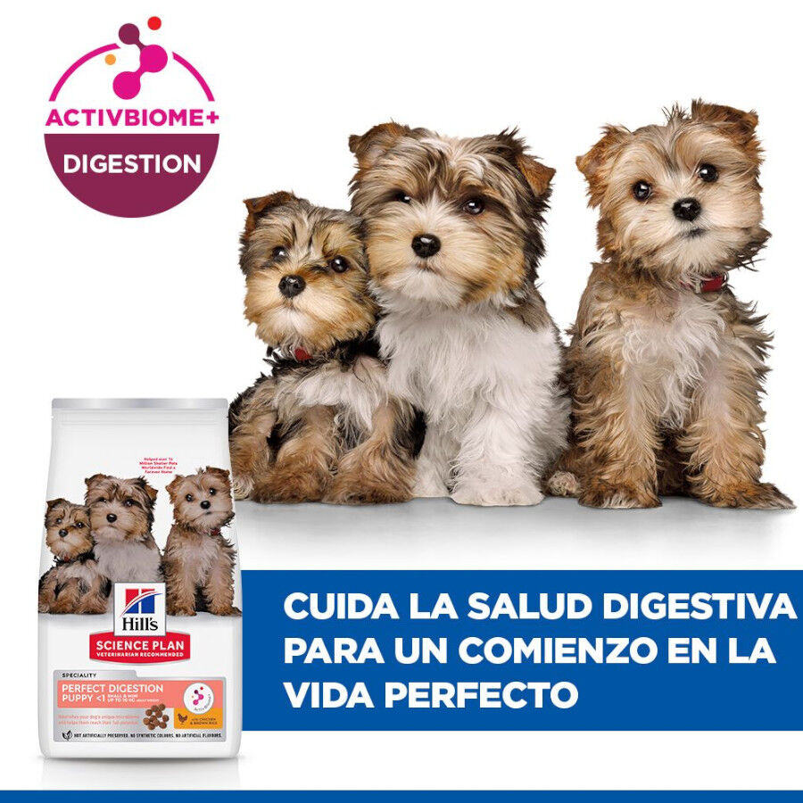 Hill's Puppy Science Plan Perfect Digestion SmalleMini Frango e Arroz ra&ccedil;&atilde;o, , large Imagem n&uacute;mero 6