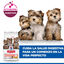 Hill's Puppy Science Plan Perfect Digestion SmalleMini Frango e Arroz ração, , large Indicador imagem número 6