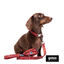 Gotoo Porta saco vermelho estampado caxemira para cães, , large Indicador imagem número 3