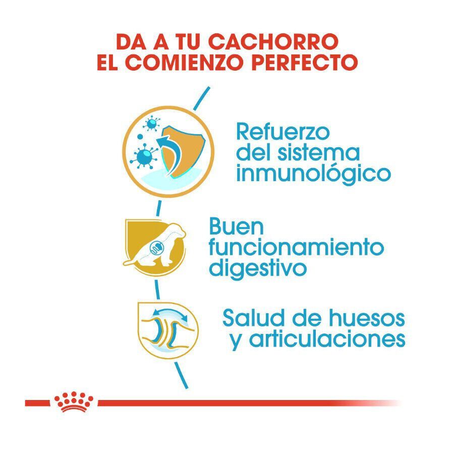 12 kg Royal Canin Puppy Pastor Alem&atilde;o ra&ccedil;&atilde;o para c&atilde;es, , large Imagem n&uacute;mero 6