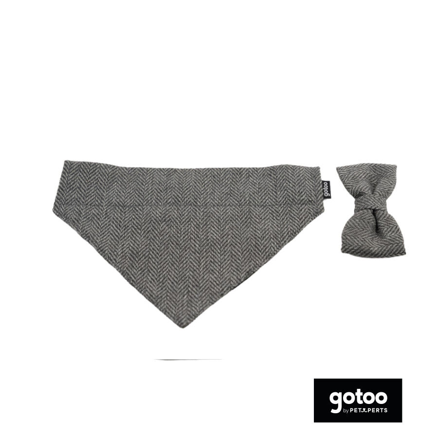 Gotoo Conjunto Bandana e Gravata espinha cinza para c&atilde;es, , large Imagem n&uacute;mero 2